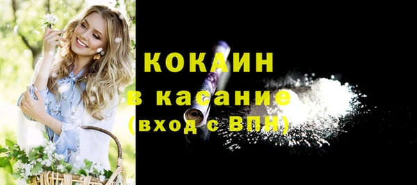стафф Арсеньев