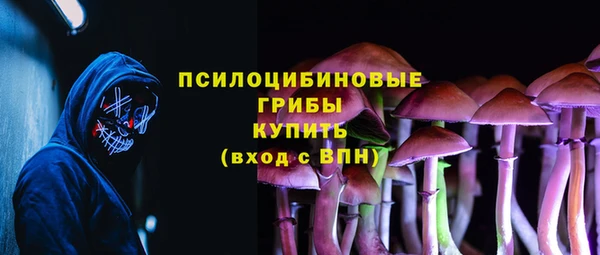 ГАЛЛЮЦИНОГЕННЫЕ ГРИБЫ Армянск
