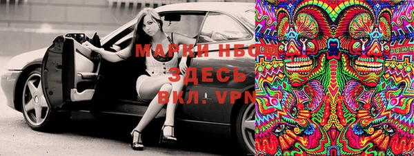 стафф Арсеньев