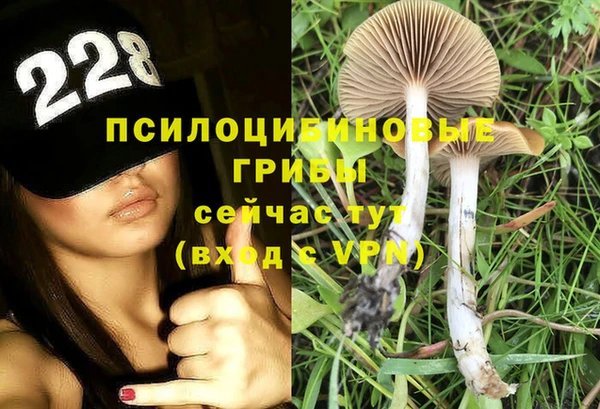 стафф Арсеньев