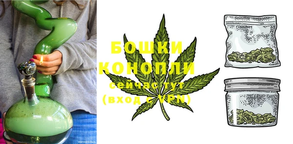ешки Аркадак