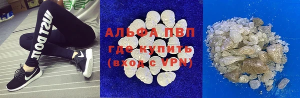 стафф Арсеньев